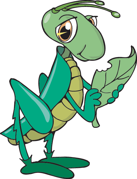 Grasshopper - Grasshopper Eating Clipart (470x612)