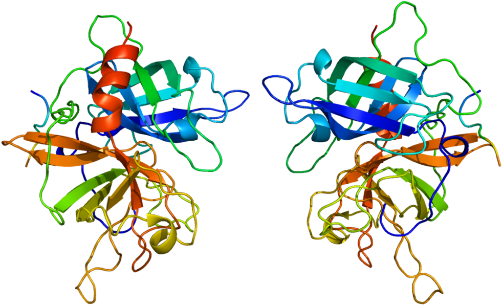 Tissue Plasminogen Activator - Tissue Plasminogen Activator (1107x691)