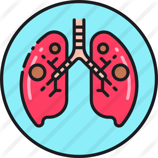 Tuberculosis - Tuberculosis (512x512)