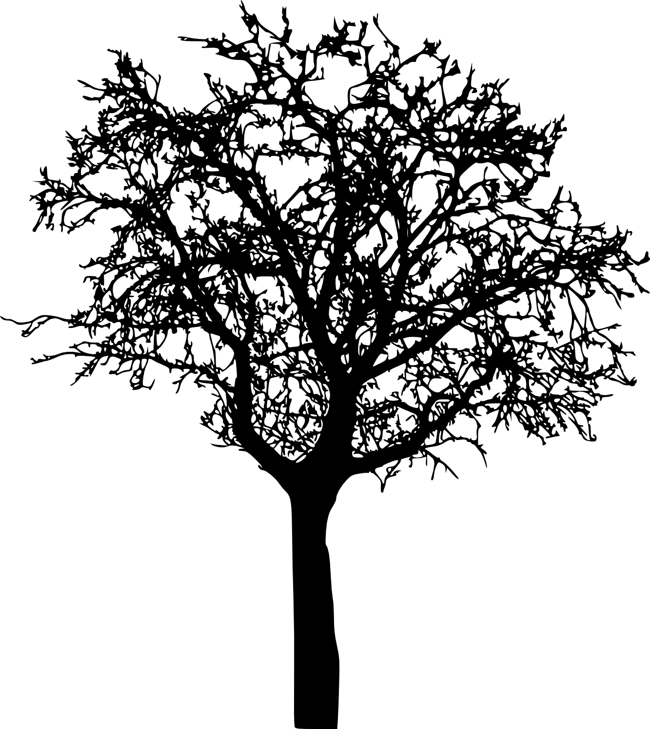 Bare Tree Silhouette Png - Bare Tree Silhouette (1333x1496)