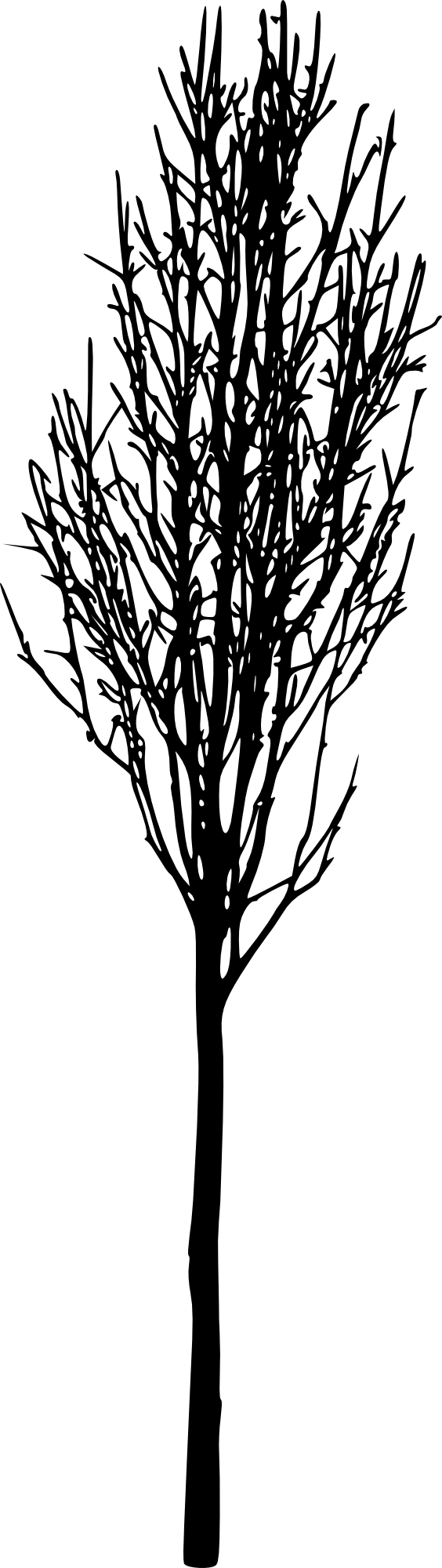 Free Download - Portable Network Graphics (564x2000)