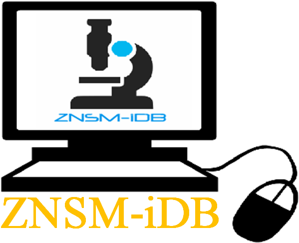 Internet Clip Art (660x502)