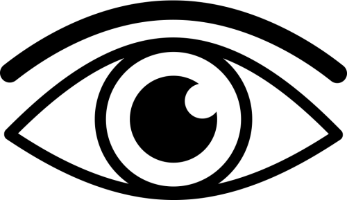 Vision Icon - Vision Icon (500x289)