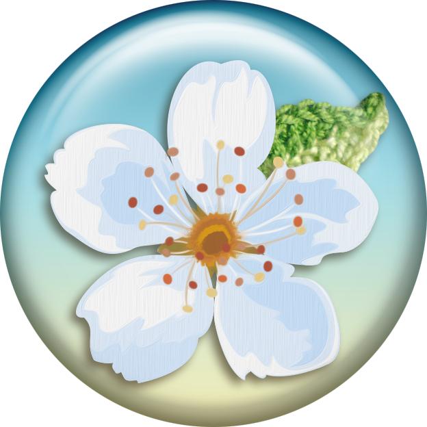 Angel - Clip Art (624x624)