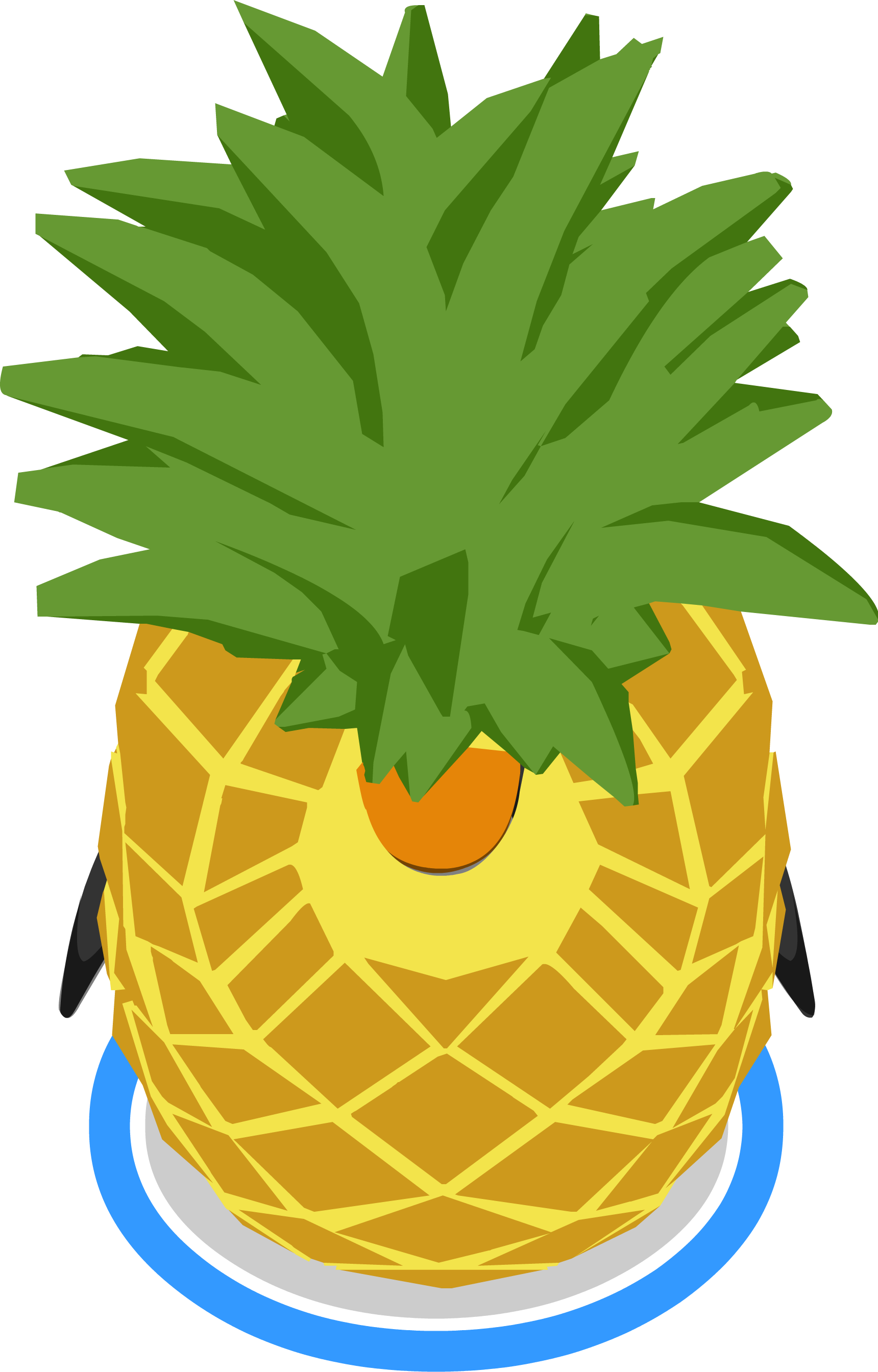 Pineapple Costume In Game - Pineapple (1720x2688)