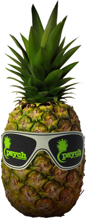 Psych Slumber Party - Pineapple (300x716)