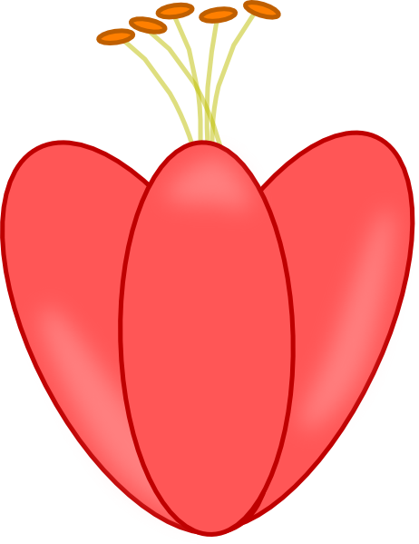 Heart (462x599)