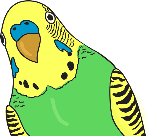 Mascot Parrot - Mascot (500x460)