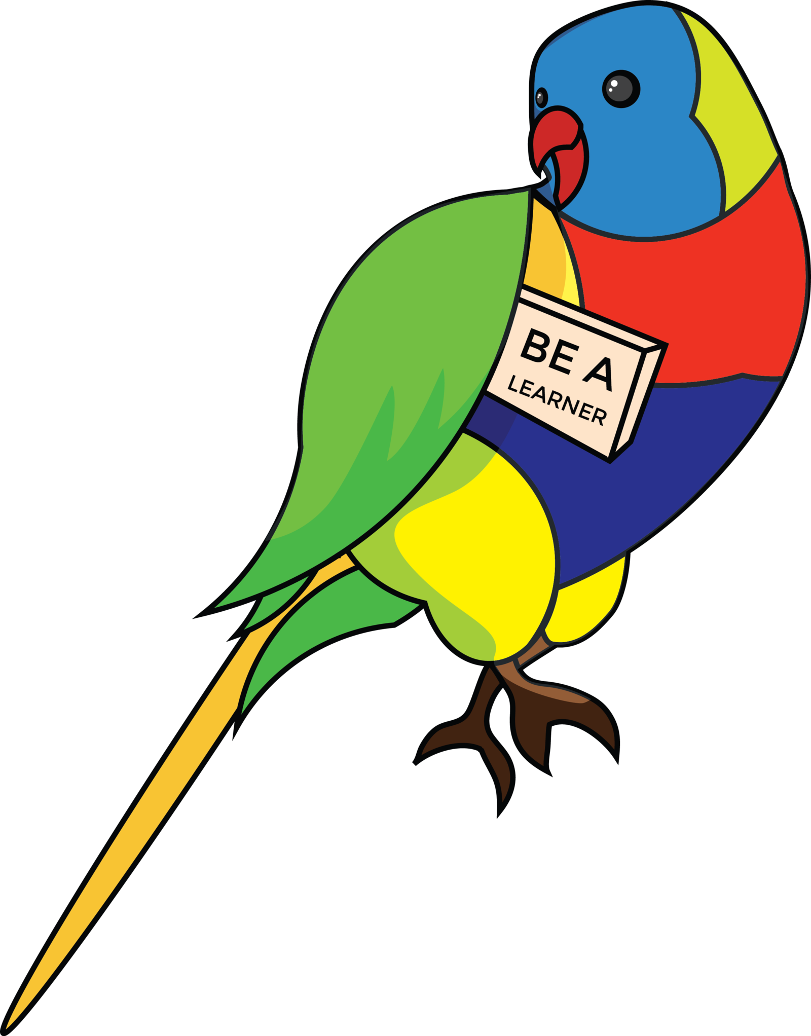 Budgie (1600x2044)