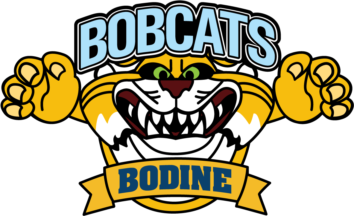 Bodine Elementary - Embroidery (1200x749)