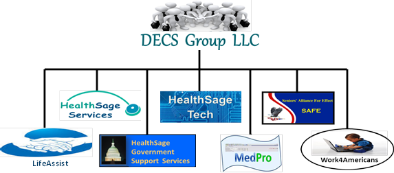 Decs Business Structure - Graphics (573x252)