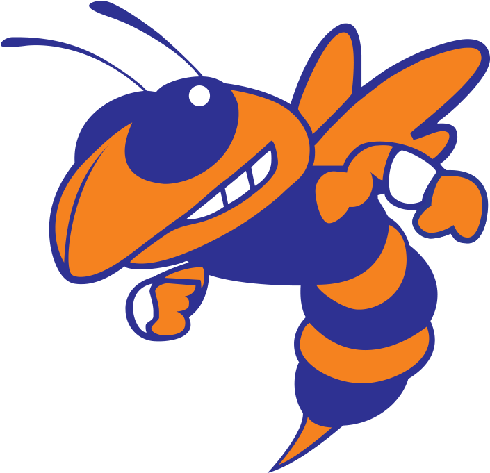 B - Georgia Tech Yellow Jackets (800x800)