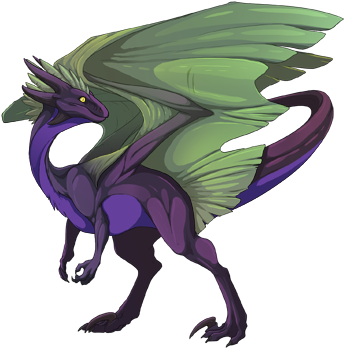Full Belly Dragon (350x350)