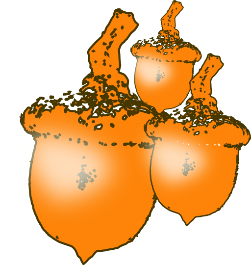 Nuts Animated (512x540)
