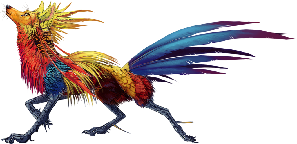 Pheasant Feonix By Nukerooster - Pheasant (1024x498)