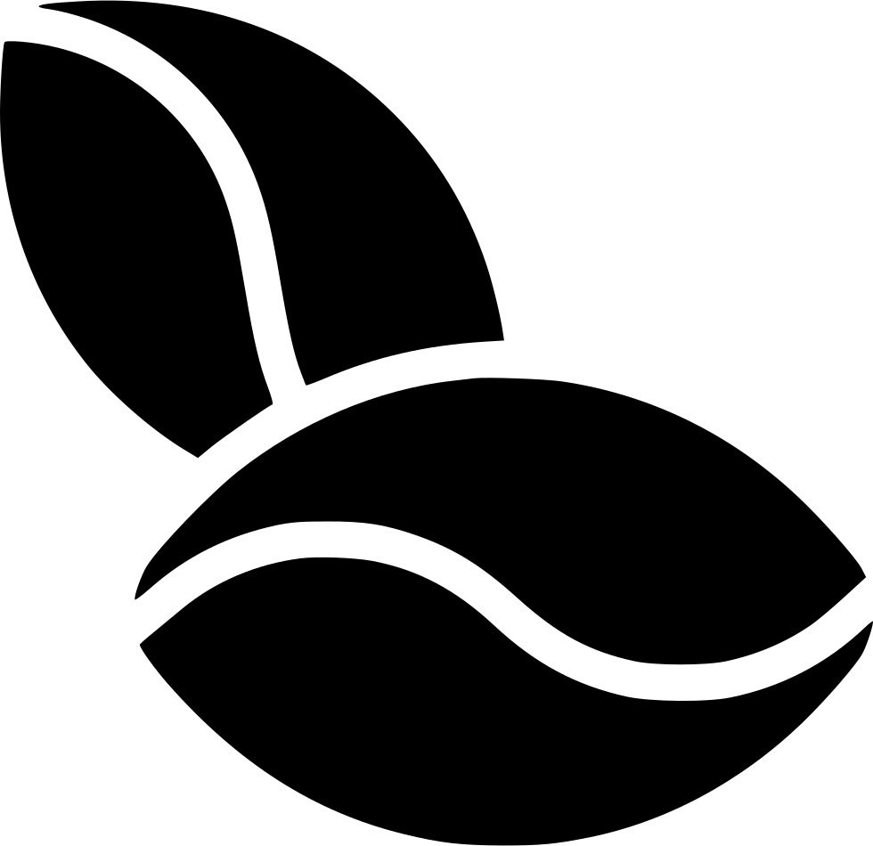 Cocoa Beans Comments - Cacao Bean Icon (980x950)