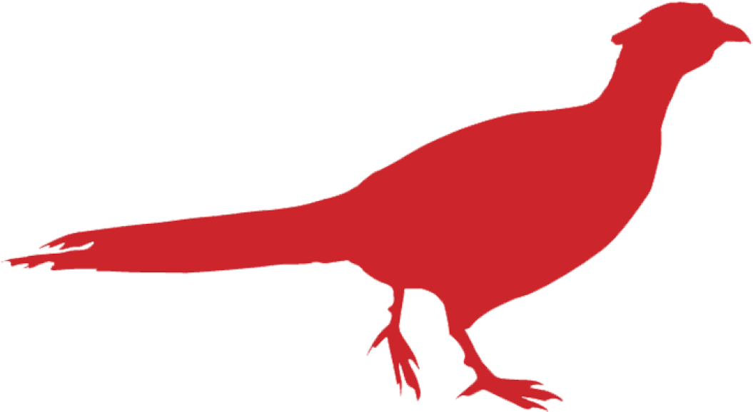 Pm Wildbird Icon - Phasianidae (1160x665)