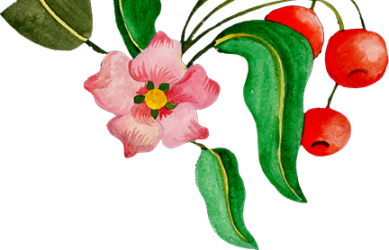 Register Interest - Impatiens (432x278)