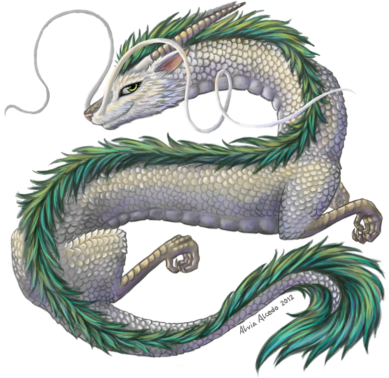 {~~~eastern Dragon Vs Western Dragon- Who Win~~~} By - Dragon (800x777)