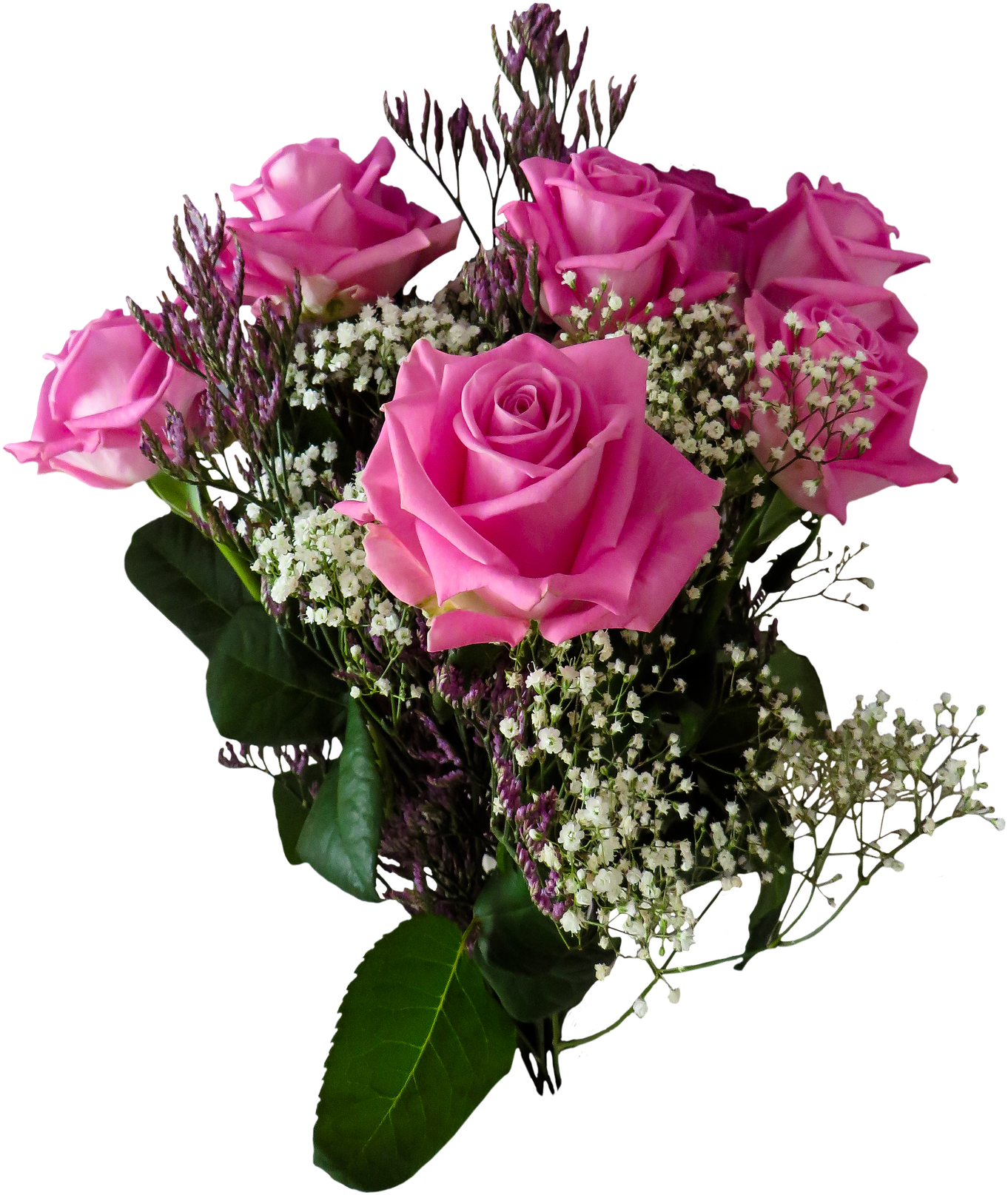 Fresh Rose - Carnation In A Pot (1529x1920)