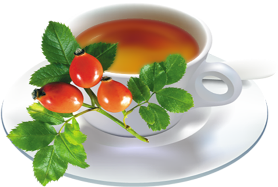 Rose Hips Tea - Medicinal Plants (600x415)