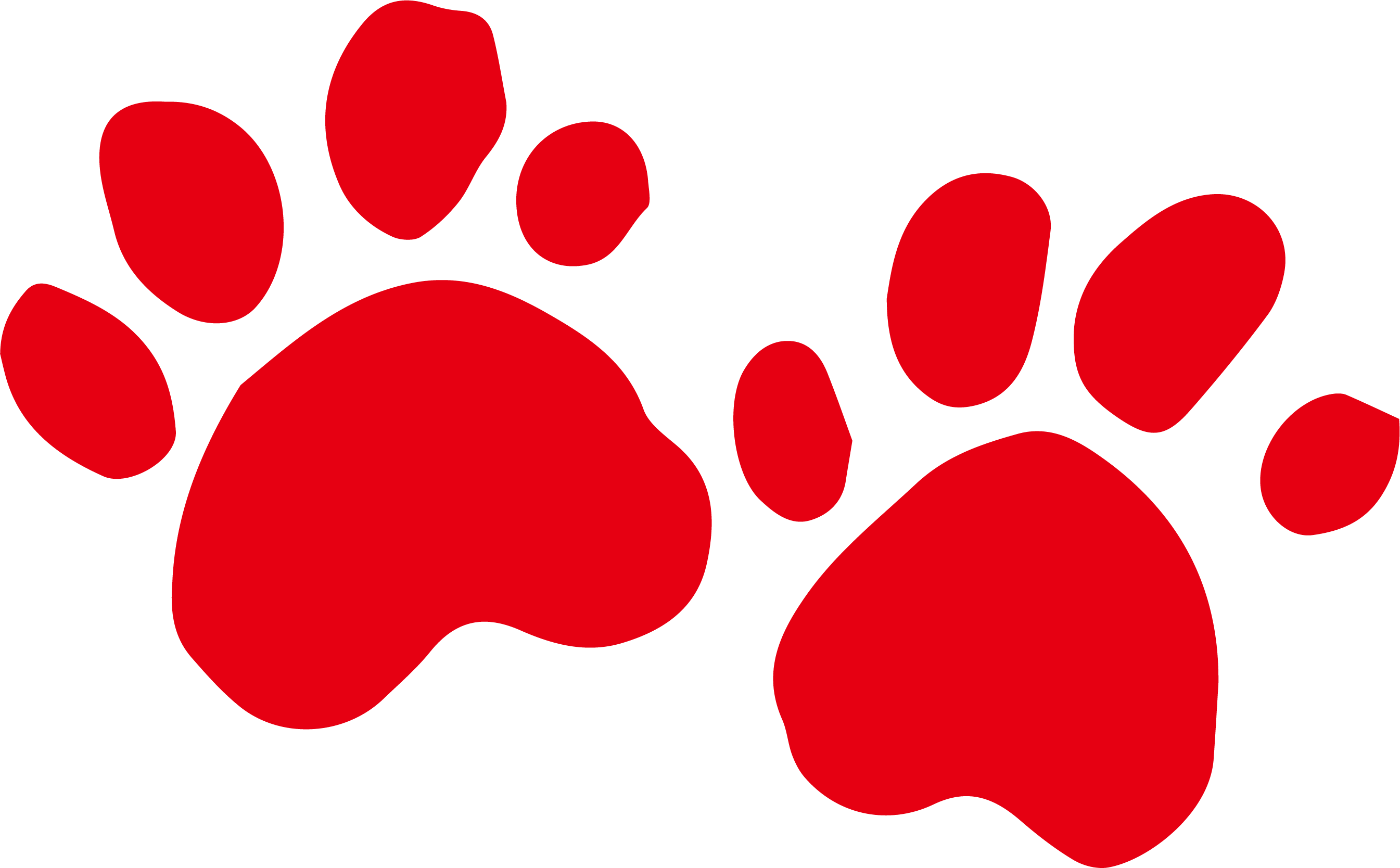 Dog Red Download Collar - 狗 爪 卡通 (2690x1668)