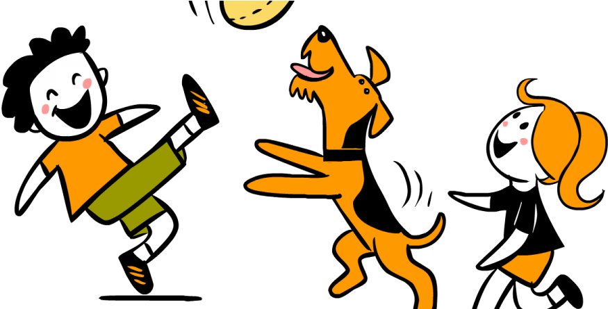 Focus, Fun & Tricks - Focus Fun (900x444)