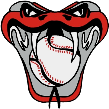 Tampavenom14u - Venom Baseball (377x375)
