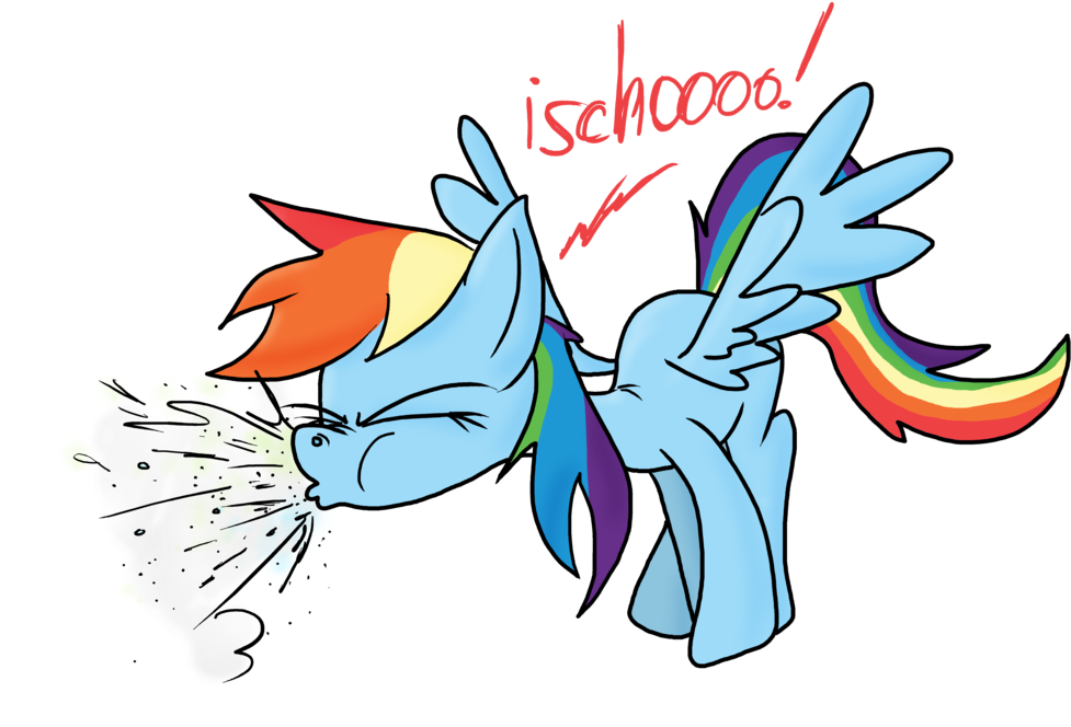 Rainbow Dash Sneezes By Psfforum - Rainbow Dash (1024x759)