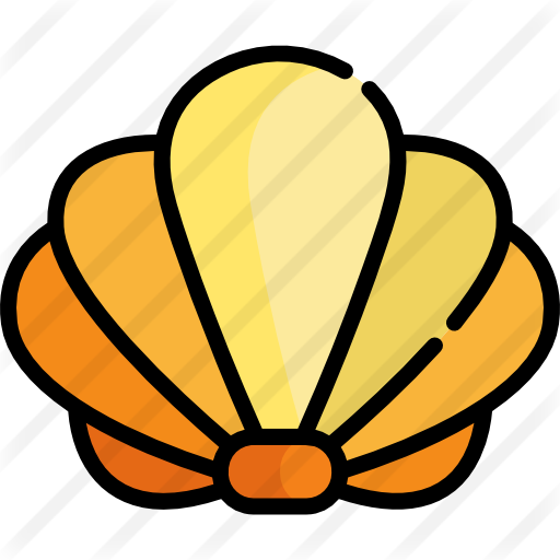 Seashell - Seashell (512x512)