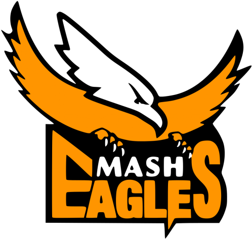 Local Cricket Team Logos (500x500)