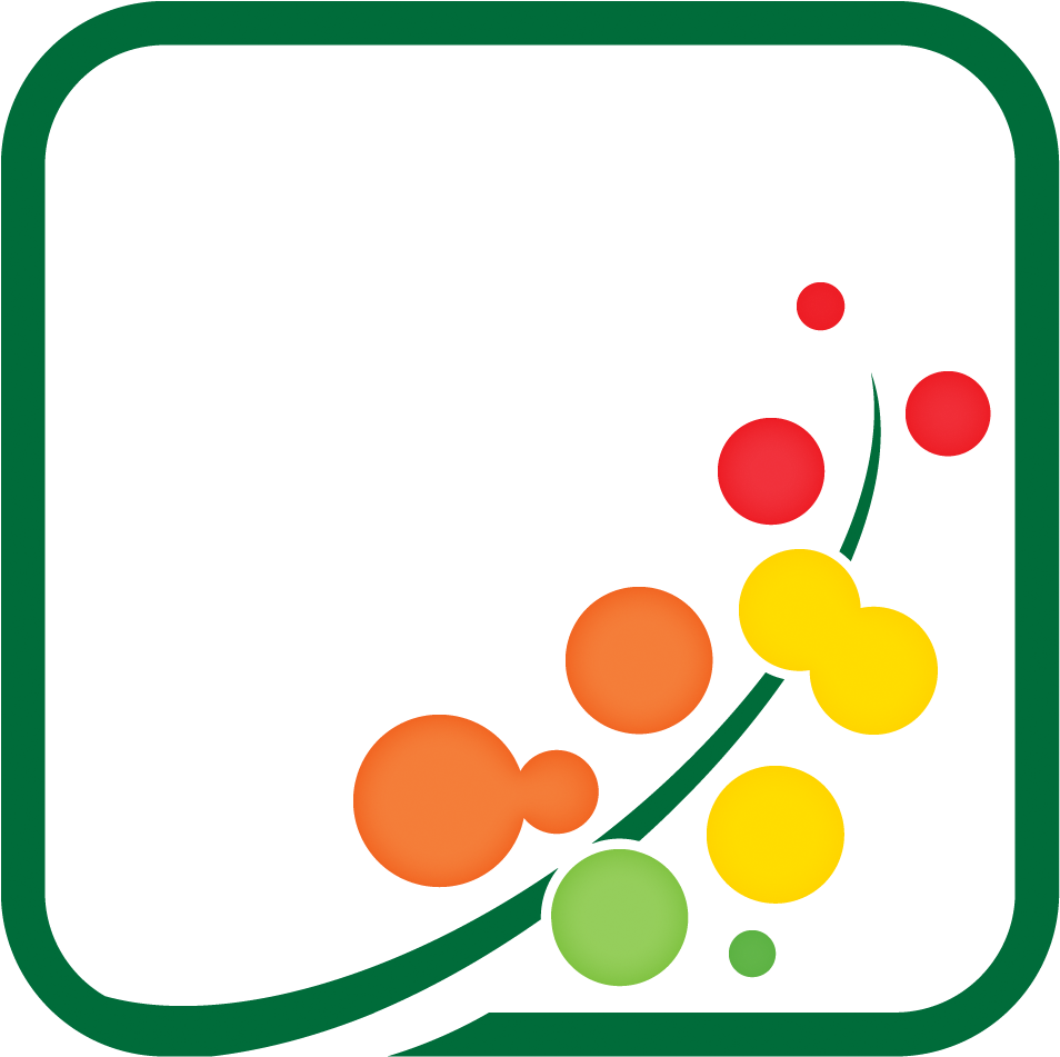 Mimosa Image Transparent - Circle (999x989)