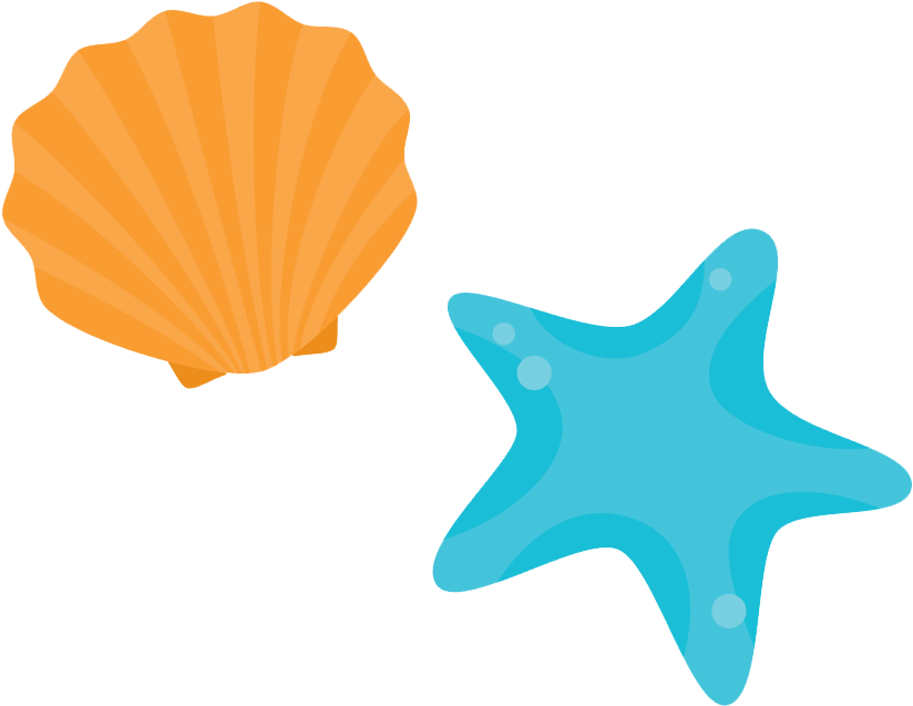 Shore Seashell Beach - Beach Shell Cartoon Shell (879x723)