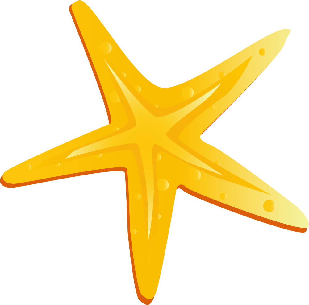 Starfish Hello Mr - Starfish (1001x989)