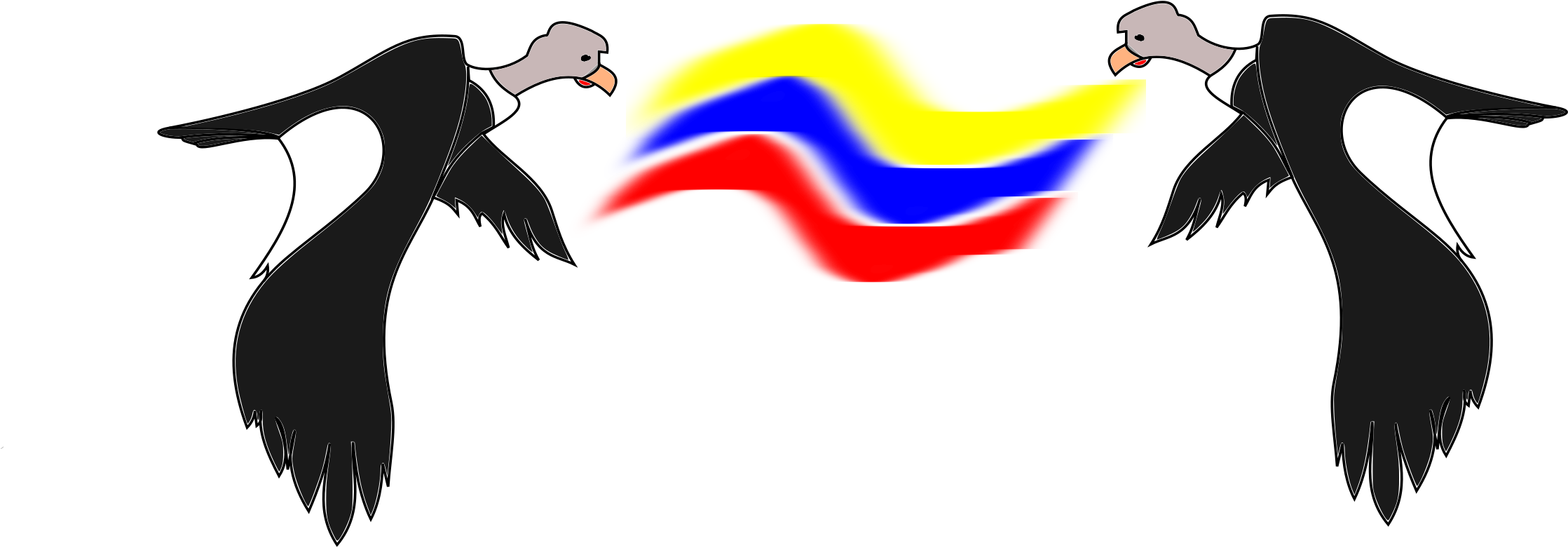 Big Image - Andean Condor (2400x1151)