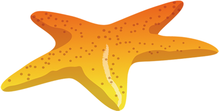 Euclidean Vector Icon - Euclidean Vector Icon (800x800)