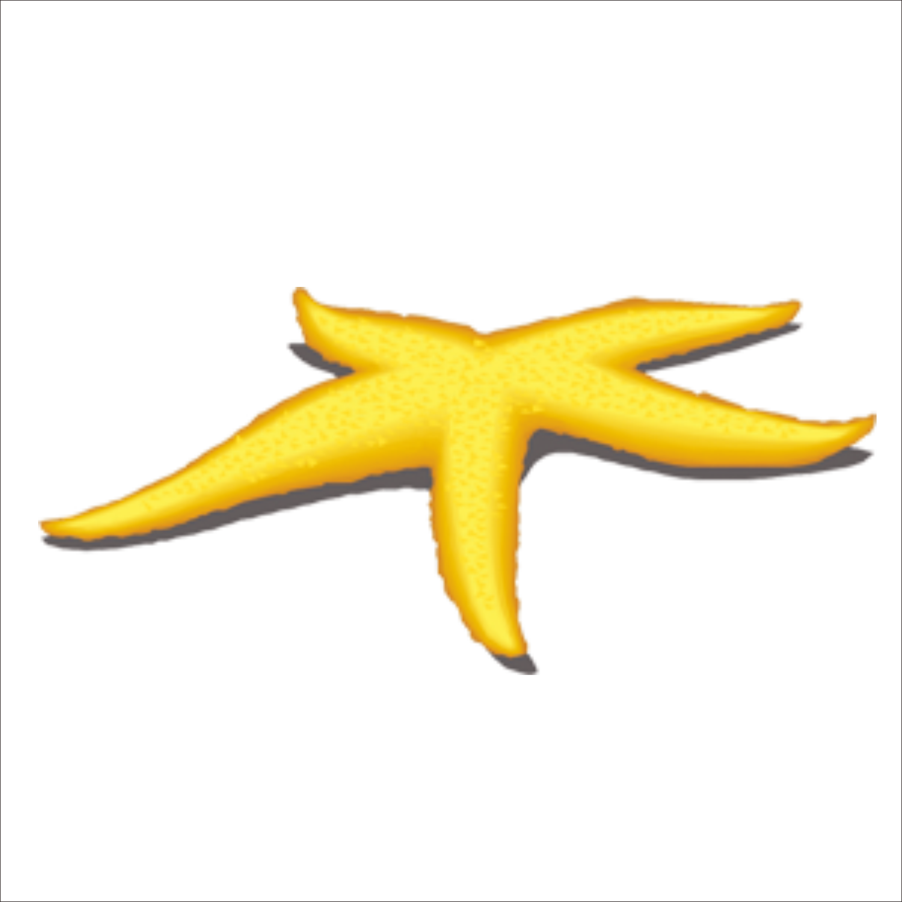 Starfish Benthic Zone Yellow - Starfish Benthic Zone Yellow (1773x1773)