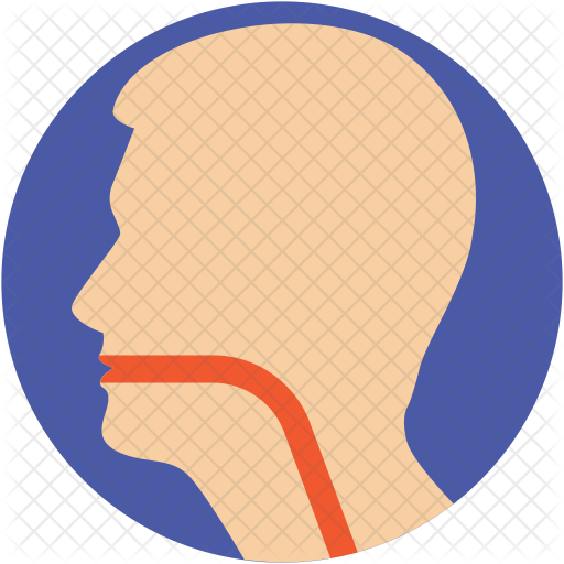 Esophagus Icon - Throat (512x512)