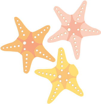 Starfish - Starfish (342x359)