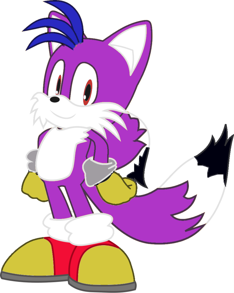 Flame The Hedgehog Vector - Fox The Hedgehog Sonic Oc (798x1002)