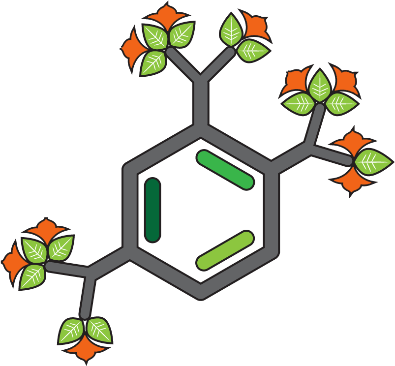 Rap#flower-molecule - Icon (832x764)