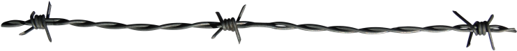 Barbwire Cliparts - Barbed Wire (970x645)