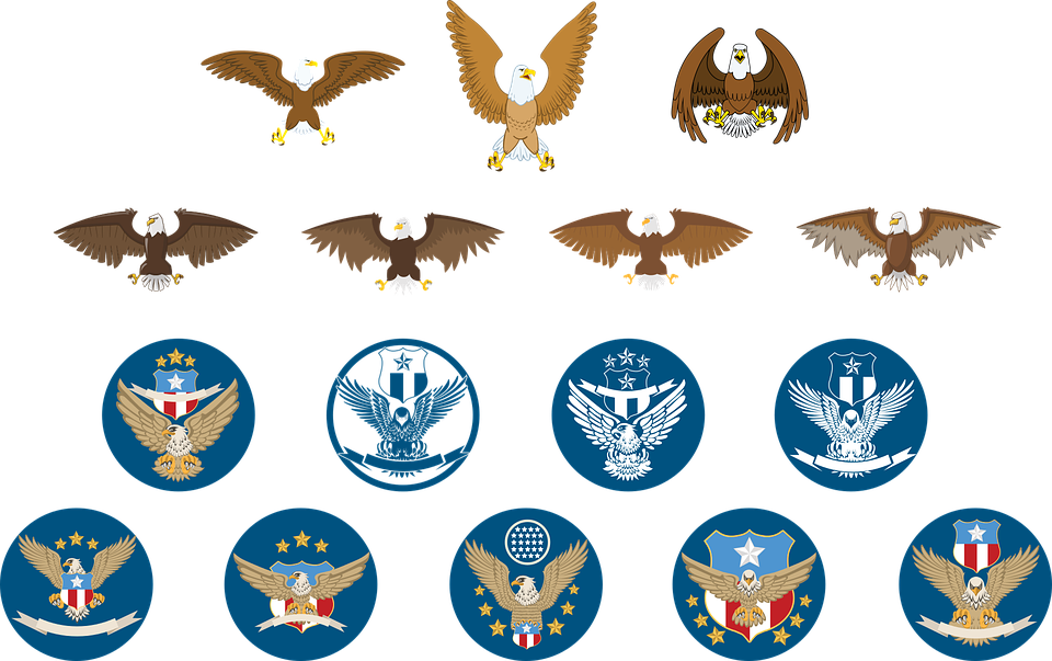 Military Eagle Cliparts - エンブレム 鳥 (960x603)