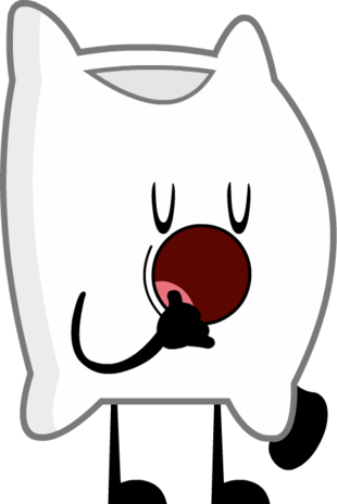 Pillow - Wiki (310x464)