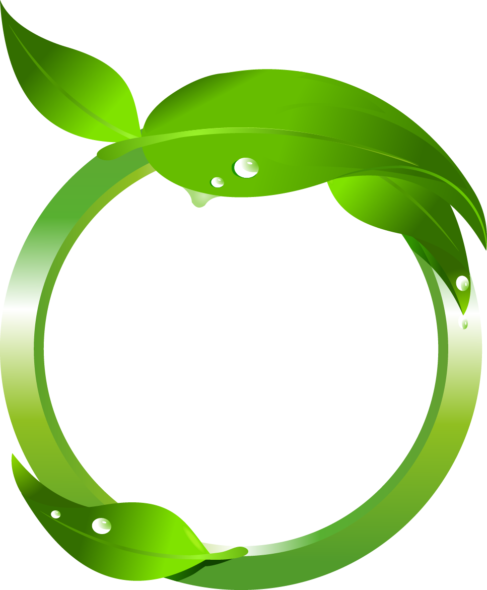 Maple Leaf Green Clip Art - Leafs Vector Png (967x1171)
