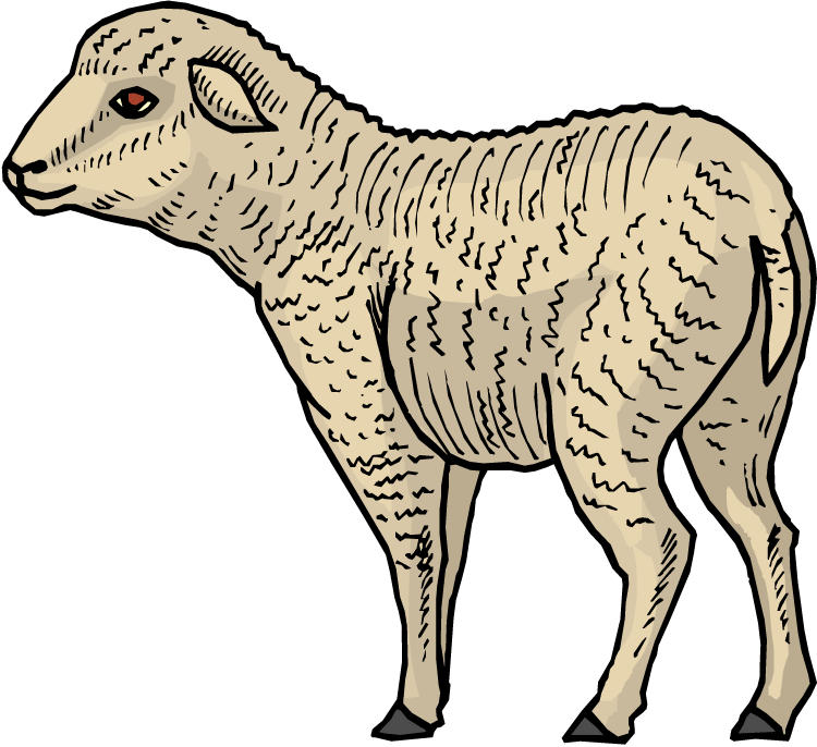 No Lambs Harmed Rectangle Magnet (750x686)