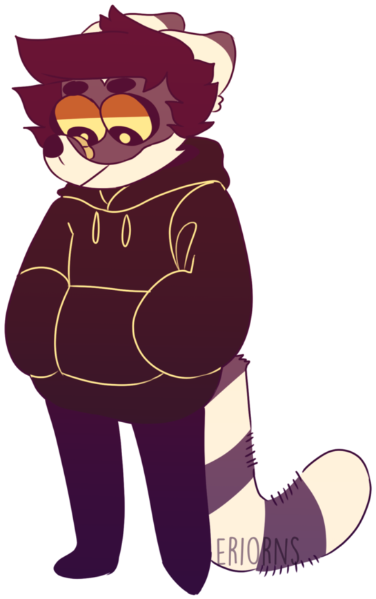 Racoon By Eriorns - Cartoon (894x894)