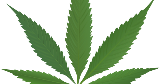 Cannabis Icon Clipart - Pot Leaf (554x290)