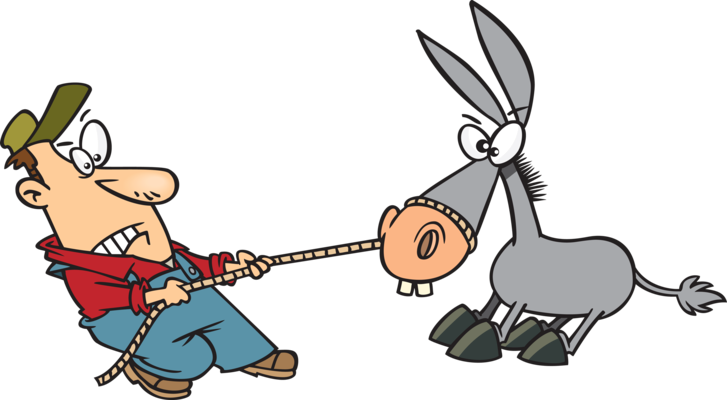 Donkey Tug Of War (727x400)