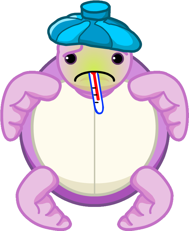 Blossom Sea Turtle Sick - Turtle (670x792)